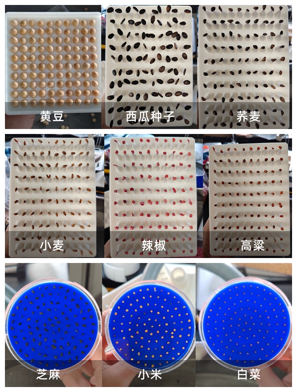 多功能真空數種置床儀
