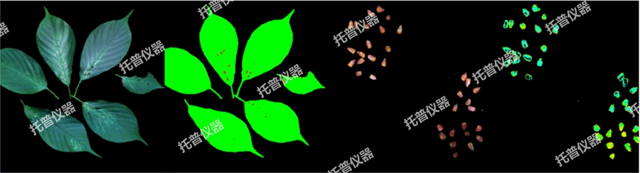 高光譜植物數字表型采集分析系統