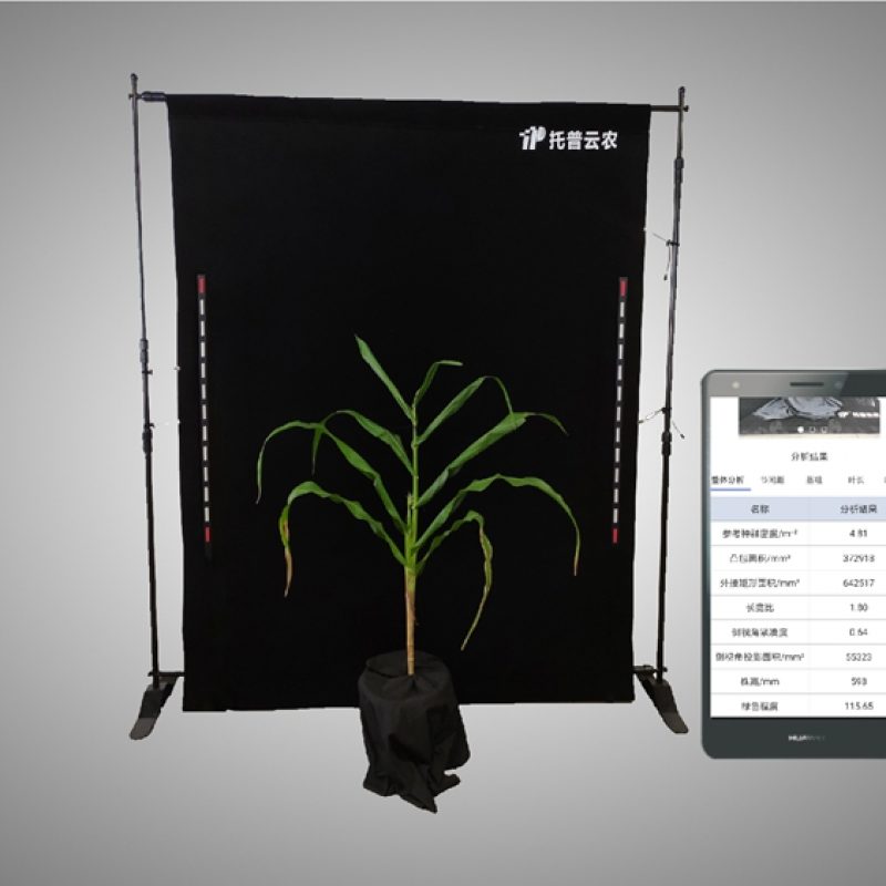 玉米株型分析系統