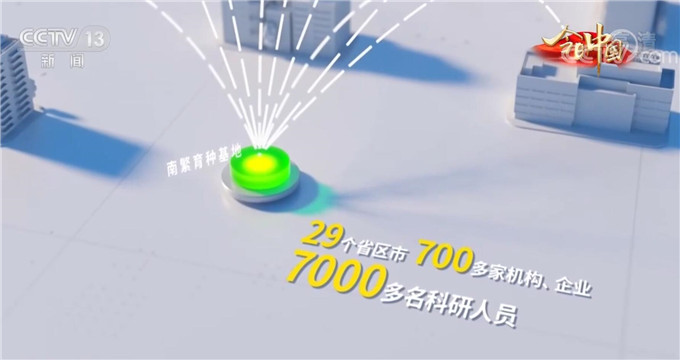 數說農業科研人員重要的天然實驗室南繁基地