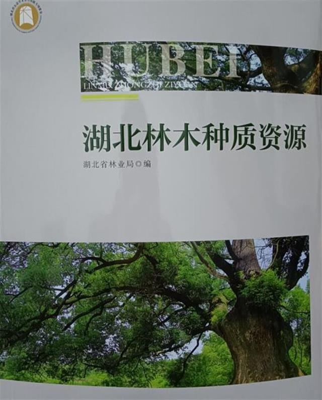 記錄全省2783種木本植物，《湖北林木種質資源》正式出版