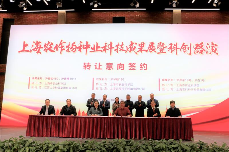 上海市農科院一批糧油作物種業科技成果轉化簽約
