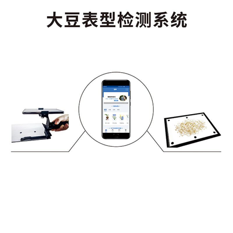 大豆表型檢測系統