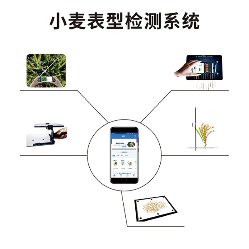 小麥表型檢測系統
