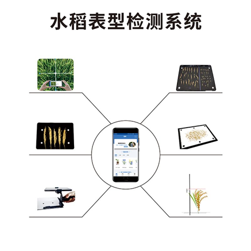 水稻表型檢測系統