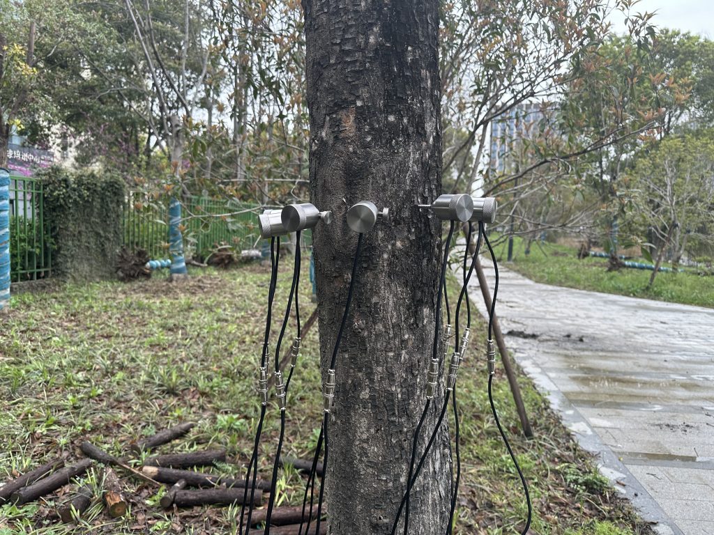 樹木無損檢測探傷儀：檢測樹木健康狀況，給出專業(yè)治療方案