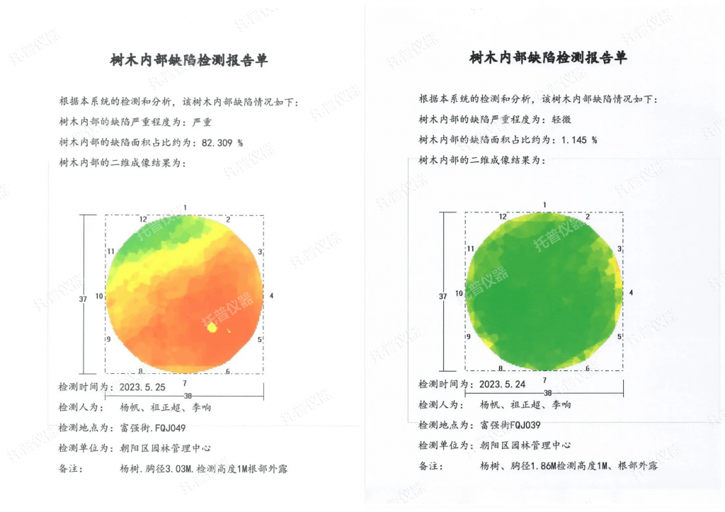 樹木無損檢測探傷儀：檢測樹木健康狀況，給出專業(yè)治療方案