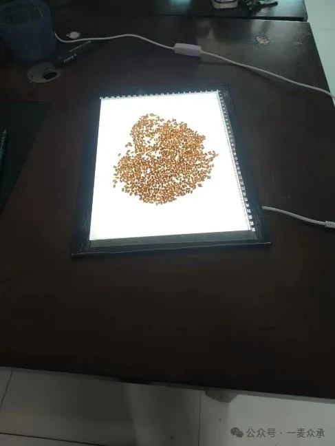 【專家力薦】發現知種APP的魅力：更專業，更有針對性
