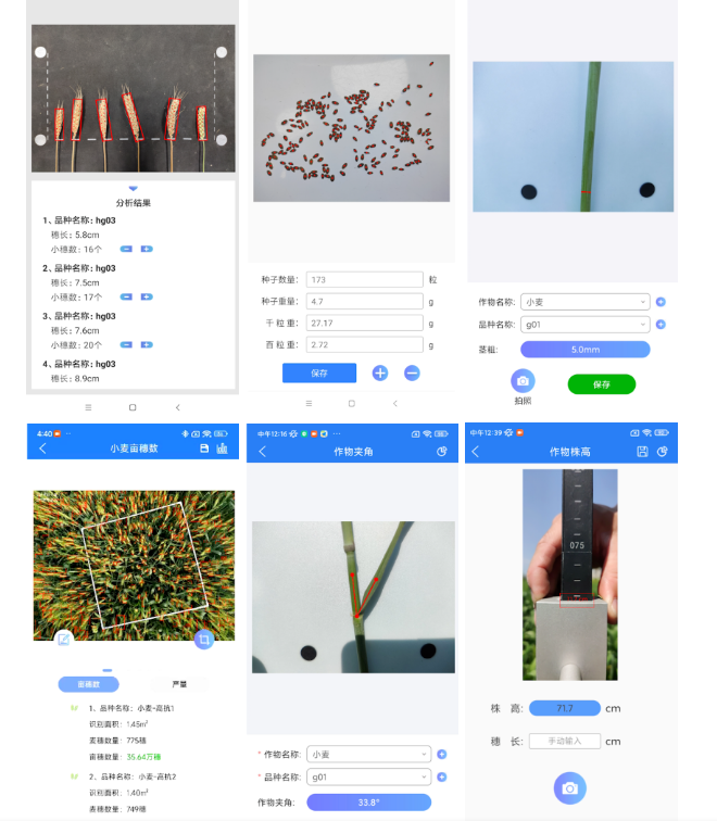 小麥表型檢測系統(tǒng)—小麥生長全生命周期表型綜合檢測