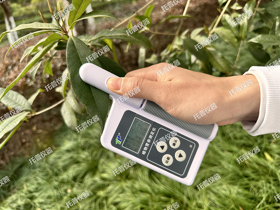 植物營(yíng)養(yǎng)測(cè)定儀—無(wú)損檢測(cè)，實(shí)時(shí)顯示，您的植物私人醫(yī)生