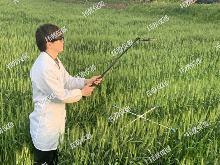 小麥畝穗數(shù)測(cè)量系統(tǒng)—快速，簡(jiǎn)單獲得小麥產(chǎn)量信息的黑科技