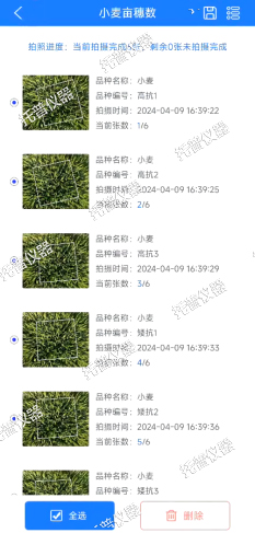 小麥畝穗數(shù)測(cè)量系統(tǒng)—快速，簡(jiǎn)單獲得小麥產(chǎn)量信息的黑科技