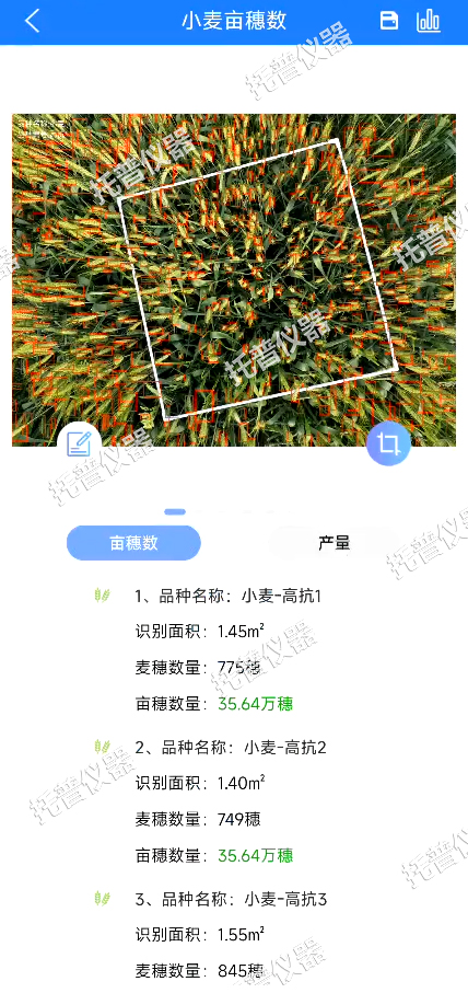 小麥畝穗數(shù)測(cè)量系統(tǒng)—快速，簡(jiǎn)單獲得小麥產(chǎn)量信息的黑科技