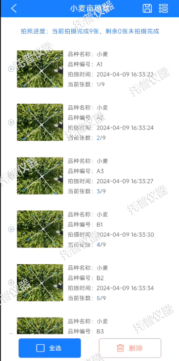 小麥畝穗數(shù)測(cè)量系統(tǒng)—快速，簡(jiǎn)單獲得小麥產(chǎn)量信息的黑科技