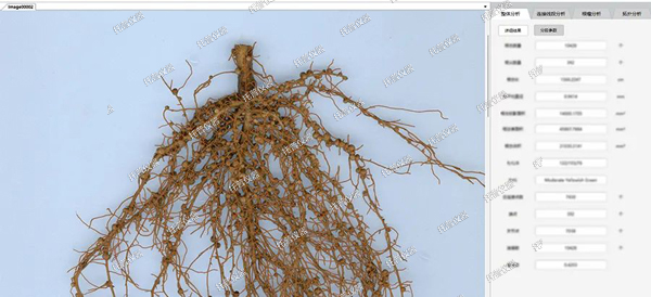 托普植物儀器四件套—您的高效科研助手！