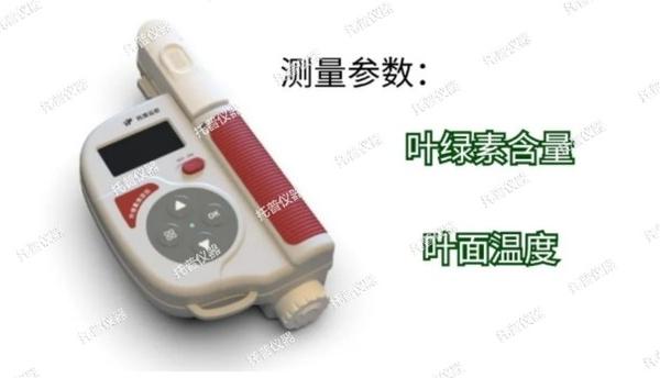 托普葉綠素測定儀全新升級，助力植物葉片研究分析