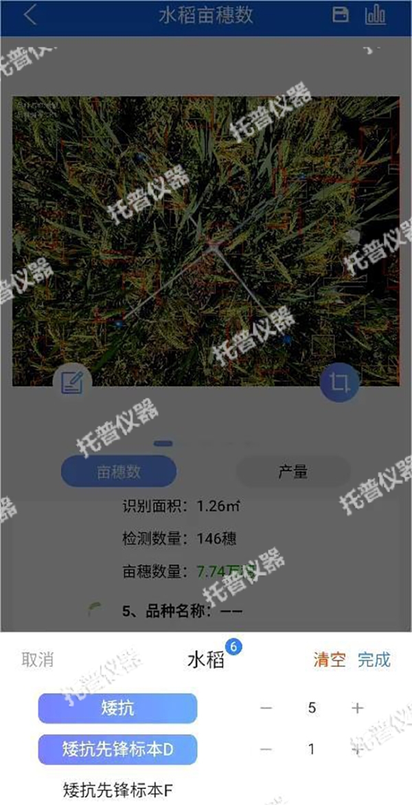 托普水稻畝穗數(shù)測(cè)量系統(tǒng)助力水稻測(cè)產(chǎn)精準(zhǔn)高效