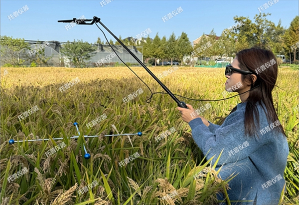 托普水稻畝穗數(shù)測(cè)量系統(tǒng)助力水稻測(cè)產(chǎn)精準(zhǔn)高效