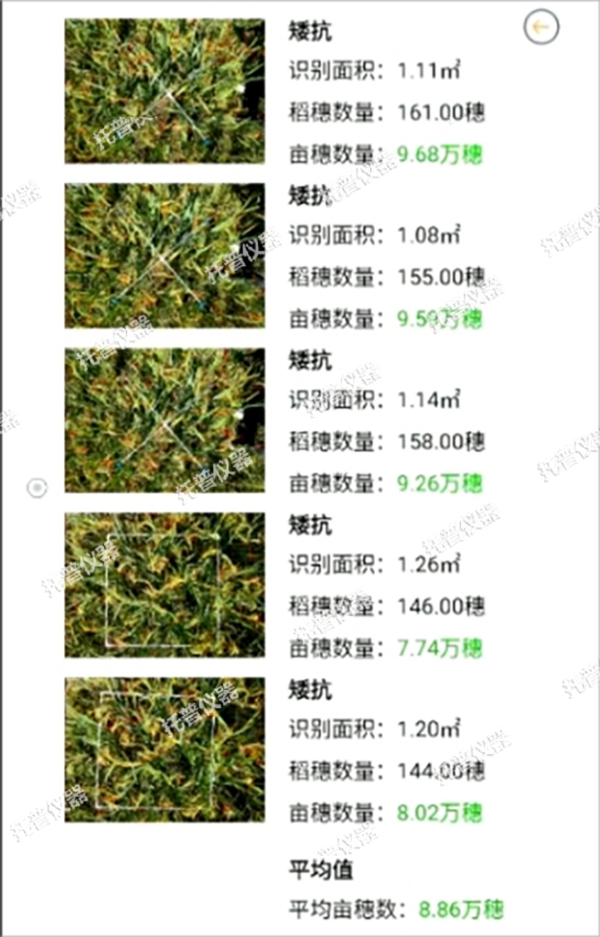 托普水稻畝穗數(shù)測(cè)量系統(tǒng)助力水稻測(cè)產(chǎn)精準(zhǔn)高效