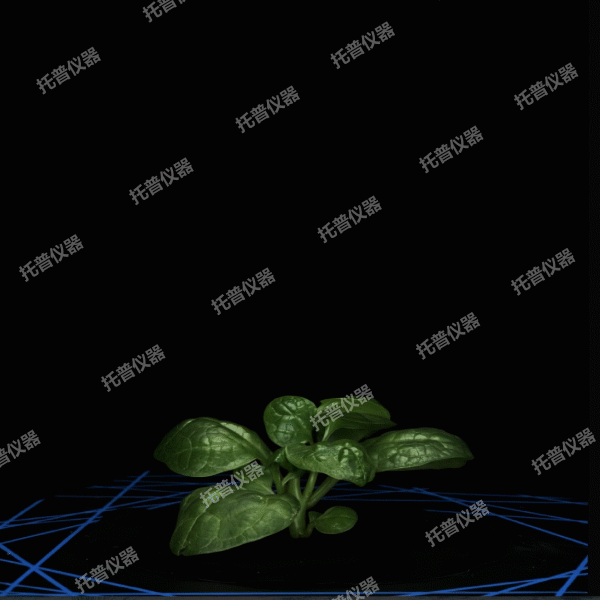 盆栽植物三維數(shù)字表型采集分析系統(tǒng)