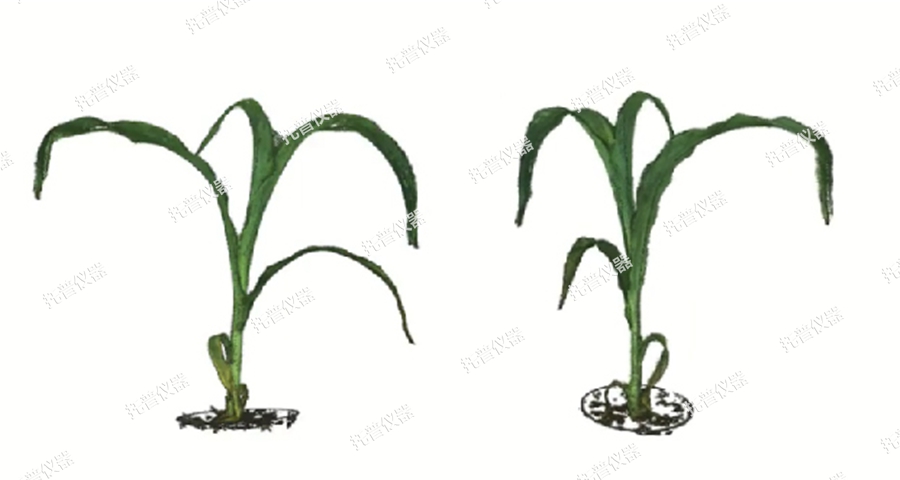 高通量逆境模擬及植物生長監測平臺