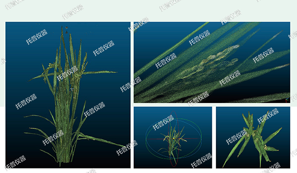 托普云農高通量植物表型采集分析平臺全新上線！