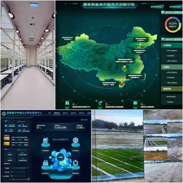 自主創新，精研AI，托普云農為植物表型科研“數智”賦能