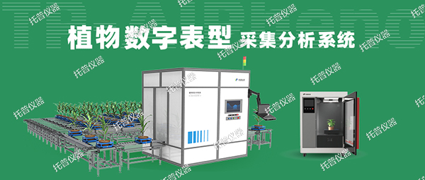 植物數(shù)字表型采集分析系統(tǒng)—高通量、高精度，植物表型測量理想之選!