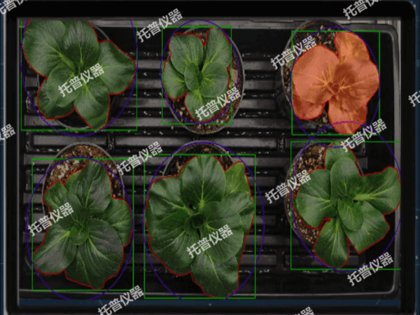 環控型植物生長表型分析系統——環境調控+表型解析