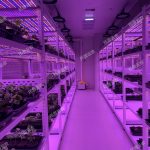 數智植物工廠