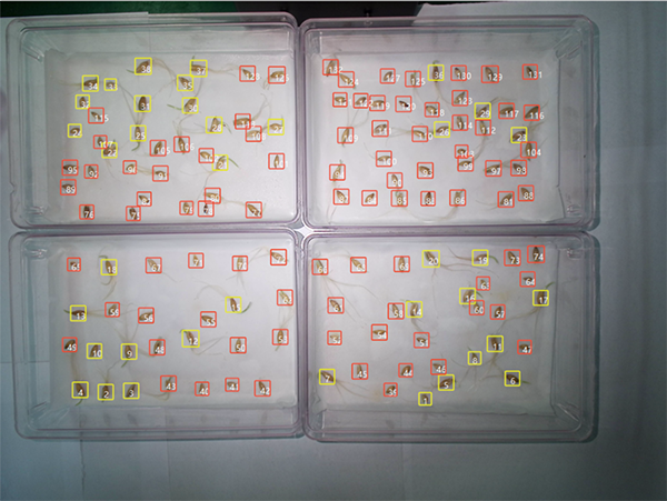 環控型植物生長表型分析系統——環境調控+表型解析