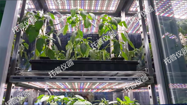 托普可調光譜植物培養箱——精準調控光配方，開啟植物生長無限可能！