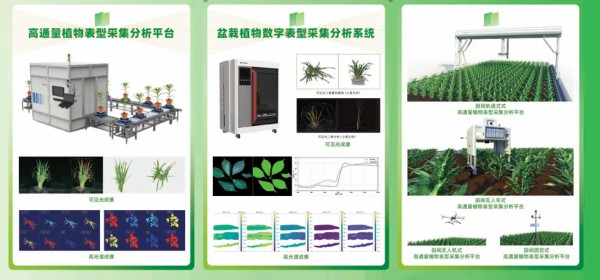中央定調農業強國！托普云農以科技之光，助力農業強國之路