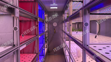 數智植物工廠解決方案
