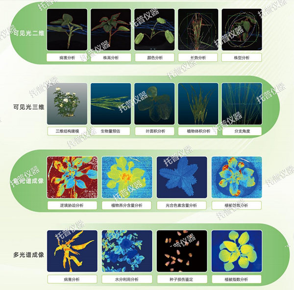 托普盆栽植物數(shù)字表型采集分析系統(tǒng)——一鍵采集，多維解析，AI 驅(qū)動農(nóng)業(yè)科研提質(zhì)增效