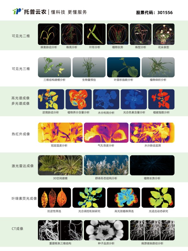打造“AI+表型”新范式，托普云農“高通量植物表型智能分析平臺”煥新上線！