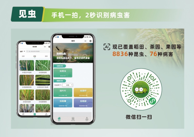 【AI+植保】1張照片抵過10年經(jīng)驗，8000余種病蟲害全曝光！