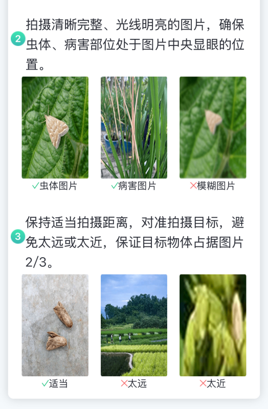 【AI+植保】1張照片抵過10年經(jīng)驗，8000余種病蟲害全曝光！
