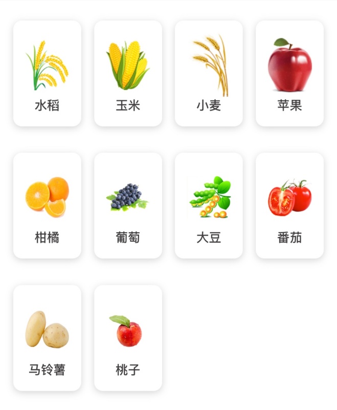 【AI+植保】1張照片抵過10年經(jīng)驗，8000余種病蟲害全曝光！