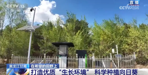 人民日報、央視新聞等權(quán)威媒體報道：托普云農(nóng)AI“新農(nóng)具”助力沃野耕“新”
